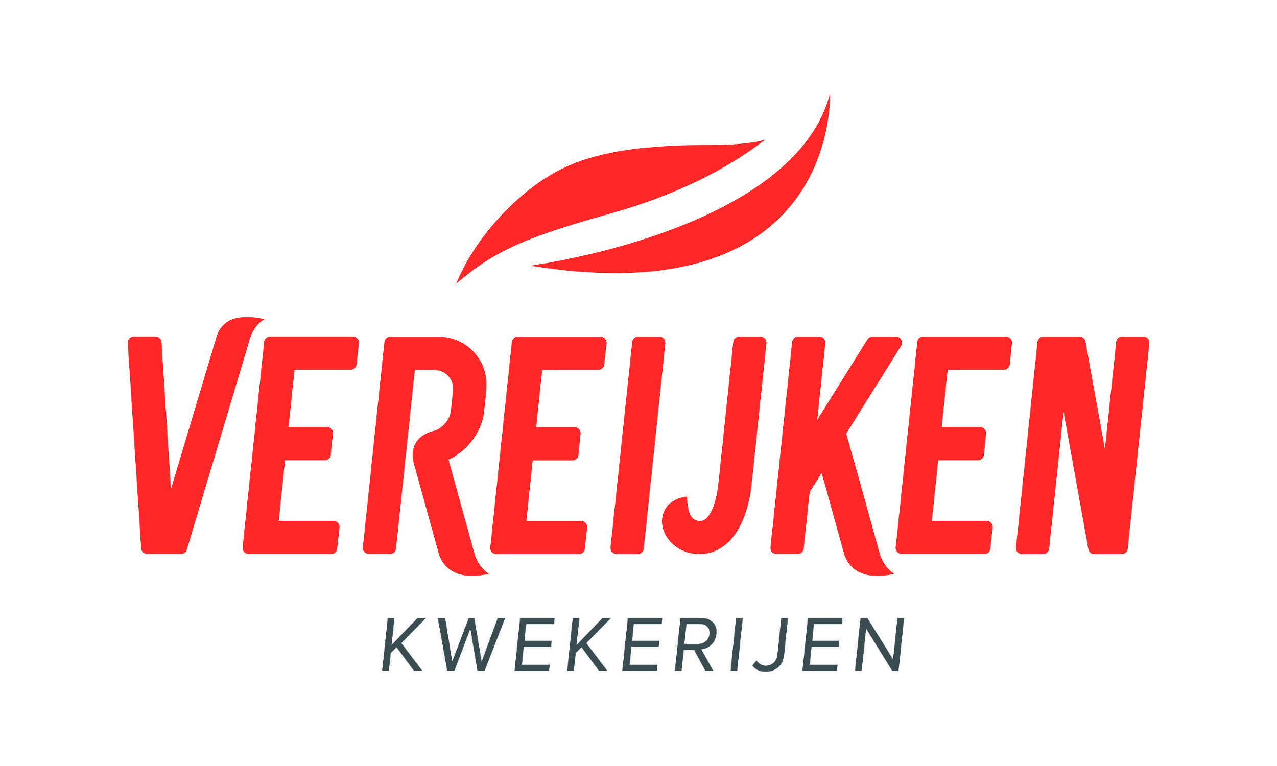 Logo VK (pantone).jpg